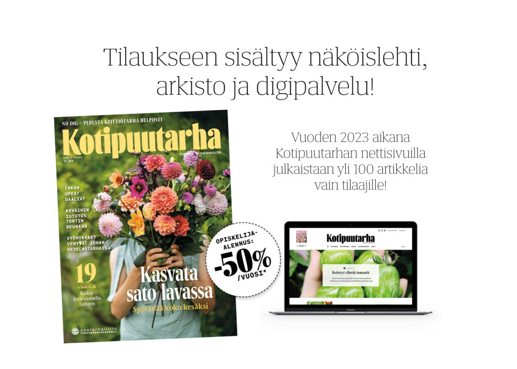 Opiskelijatilaukseen sisältyy näköislehti, arkisto ja digipalvelu. 